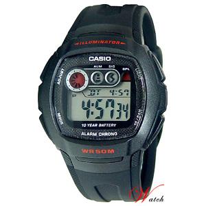 W-210-1C (10년 전지)