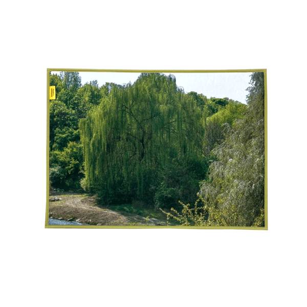Willow scene foot mat