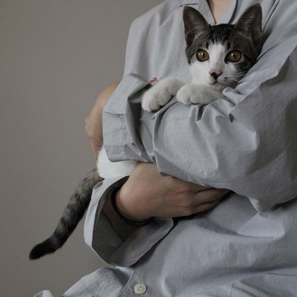 반려가정 홈웨어 - Light Gray