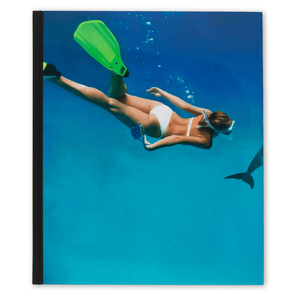 [데미안 허스트 아트북] Damien Hirst : Fact Paintings and Fact Sculptures