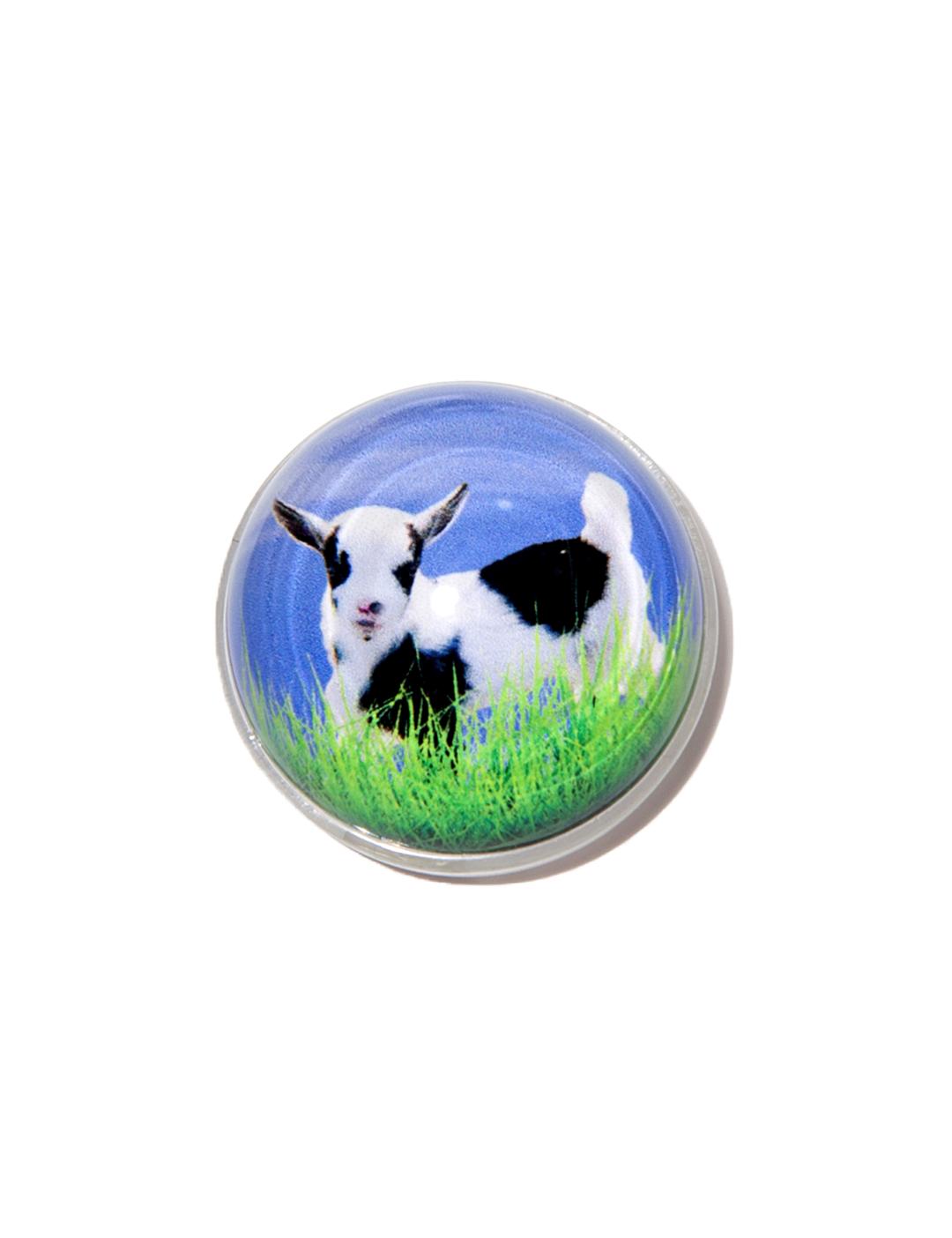 BABY GOAT GLASS BALL GRIPTOK