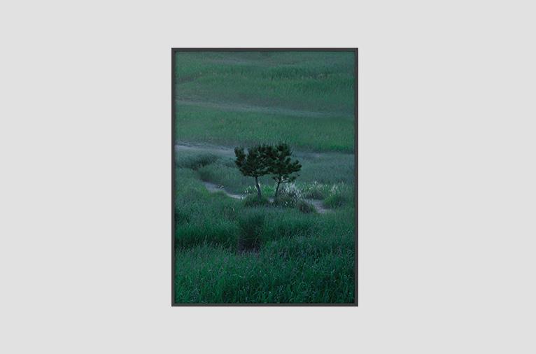 [AOBD] forest poster