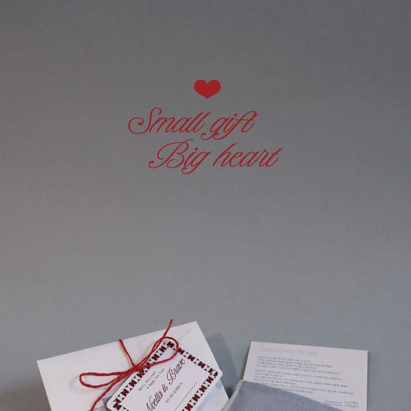 ♥HOLIDAY♥ CASHMERE BRUSH