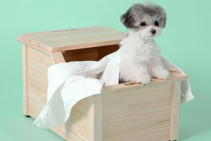 편백나무 강아지욕조 피톤치드 애견스파 히노끼 목욕탕 노견 피부건강관리