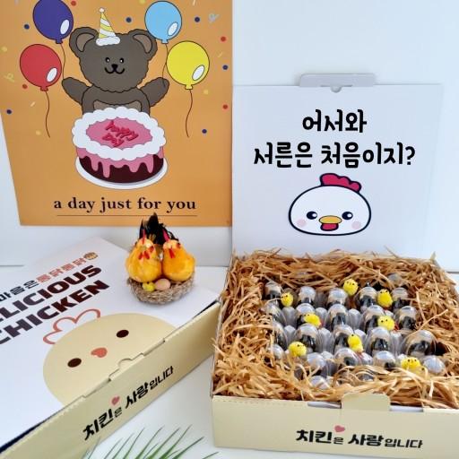 당일출고🔥 계란한판이벤트 용돈이벤트 치킨생일선물