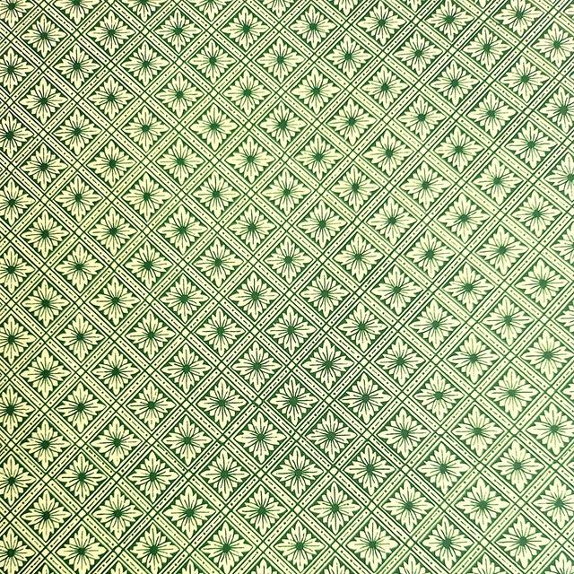 [수입포장지] Small Viola Green