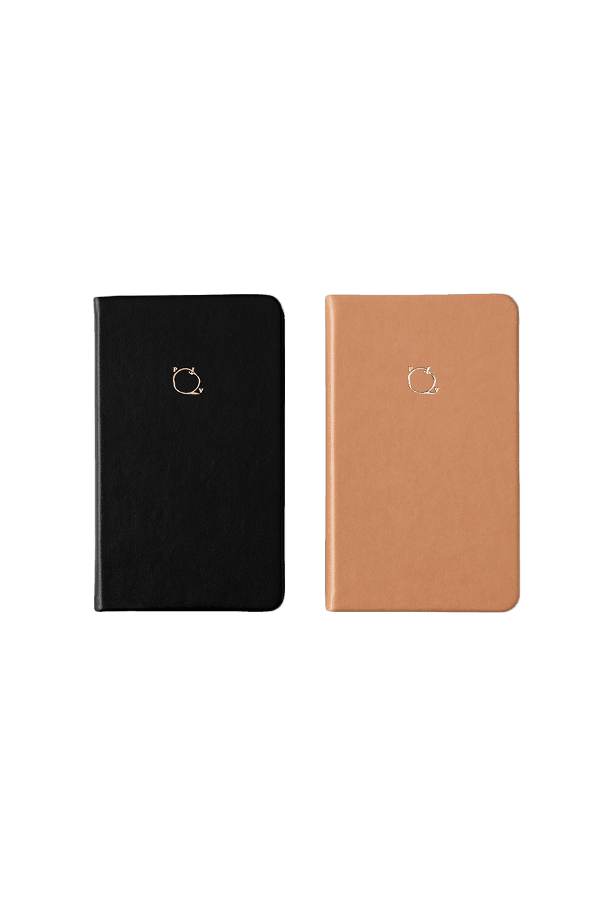 Apple journal