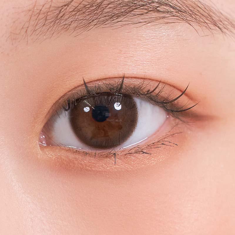 시스루 크리스틴 플러스 원데이 초코