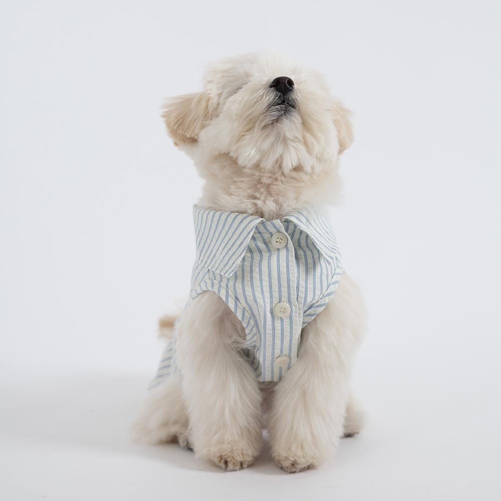 디베리 시어서커 셔츠 (Stripe)