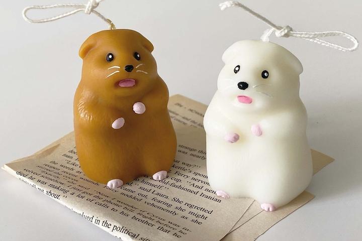 아잇 깜짝이야! 햄스터 캔들 ( 선물상자,집들이,생일,개업,선물)