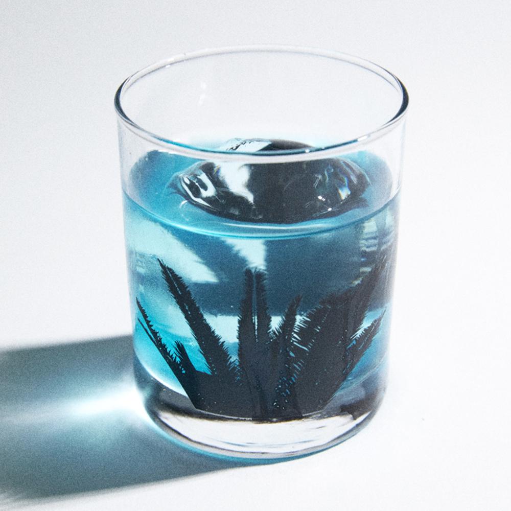 Jeju palm tree on the rock glass (290ml)