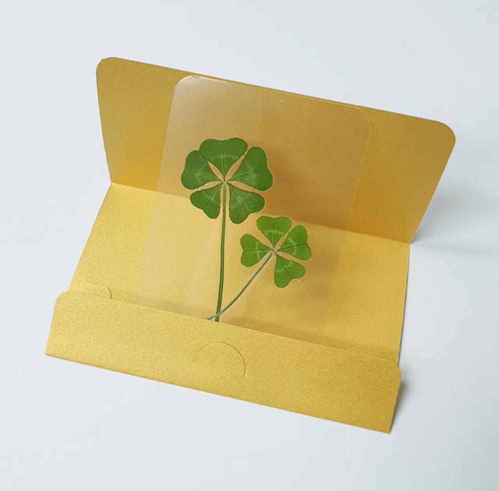 FLC 101-14(진짜4,5잎클로버 코팅카드)-1개
