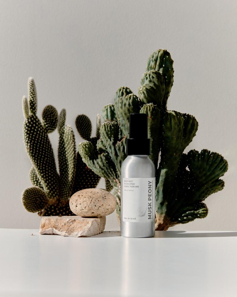 [BEST] 메르디센트 무드 퍼퓸 바디스프레이 100ml