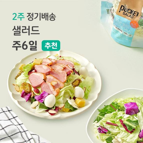 2주 정기배송 샐러드 주 6일
