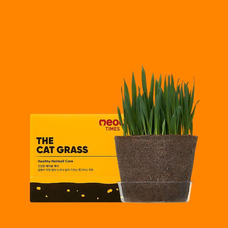 더 캣그라스 보리/귀리/밀