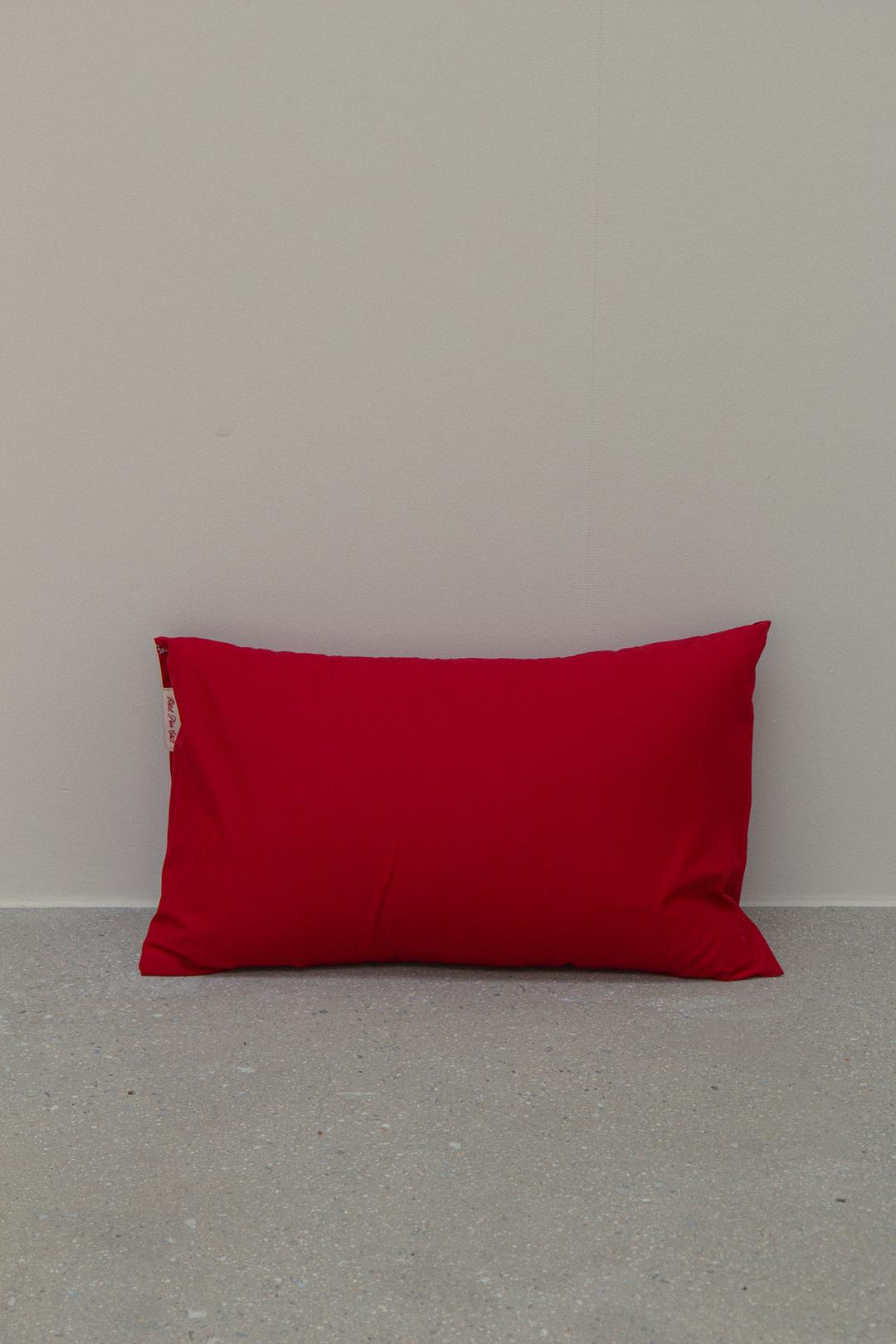[Preorder27%] Chilli Pillow Cover
