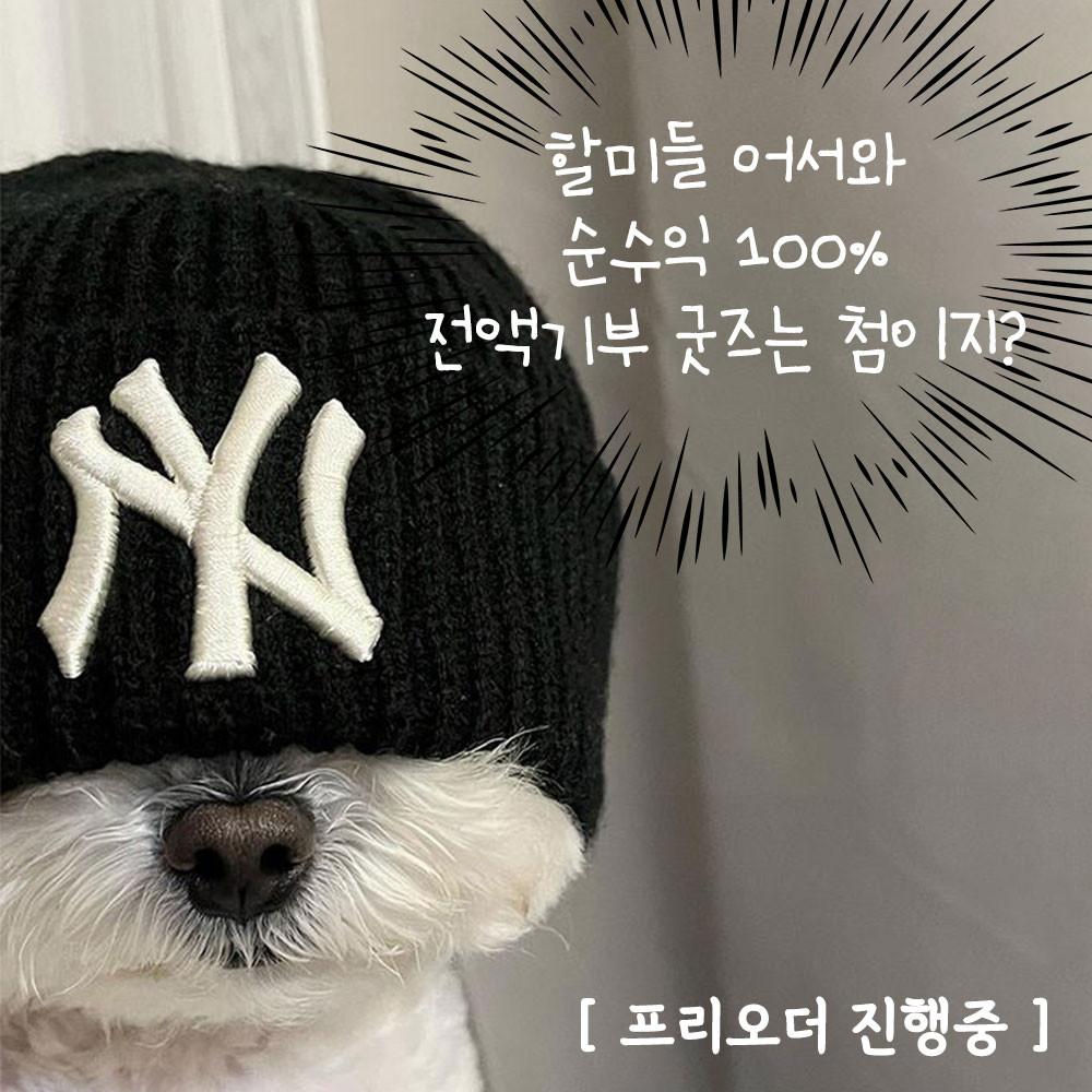 [ 다온 x 세리 ] 수익금 100% 전액 유기동물 기부 후원 케이스