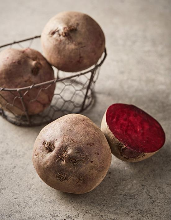 친환경 비트 2~4입