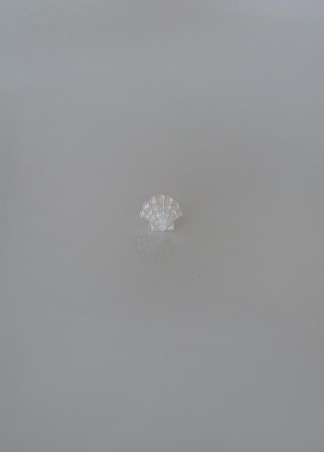 [E603][silver] shell piercing /포인트 피어싱 시선