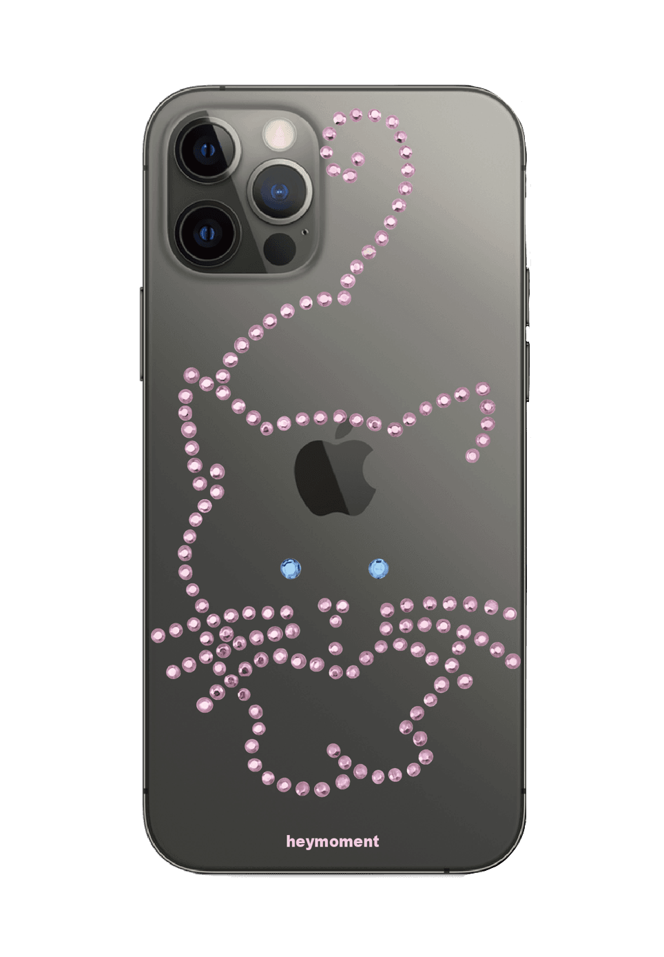 Kitten case