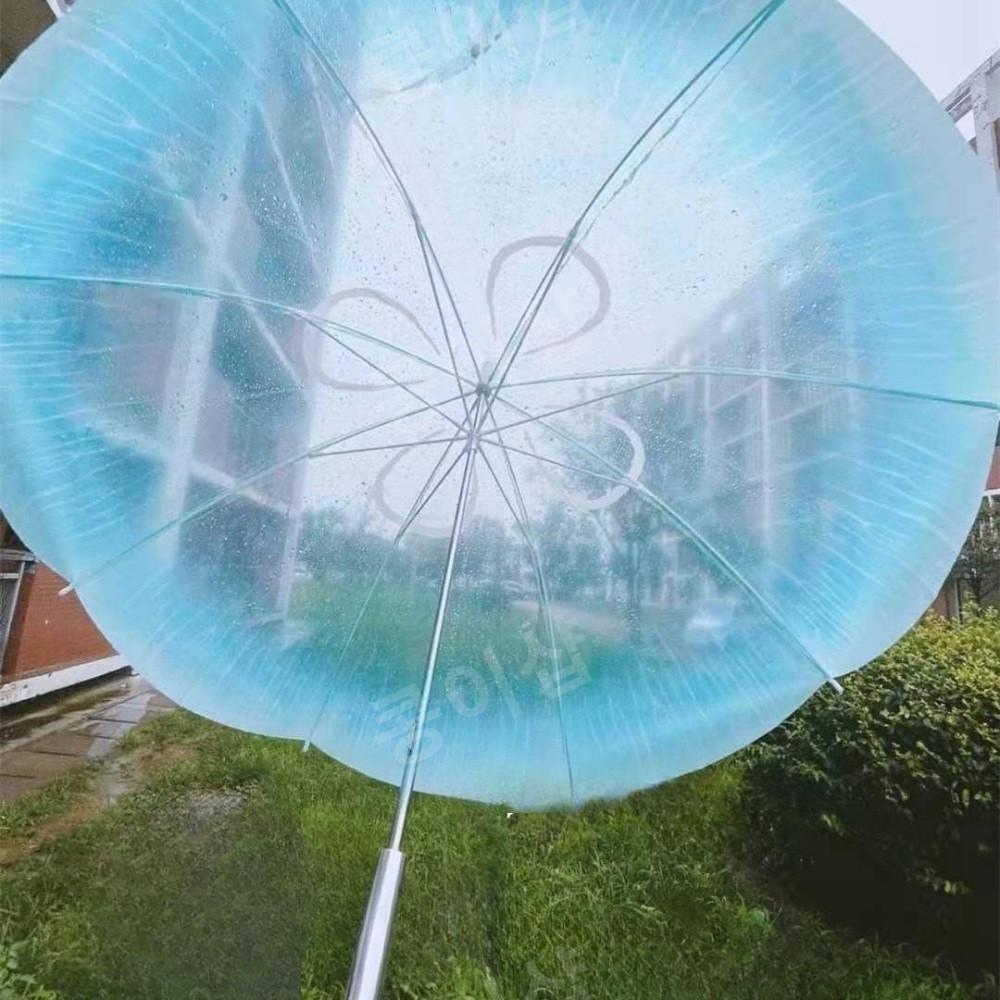 해파리 우산 일본 장마철 감성 양산