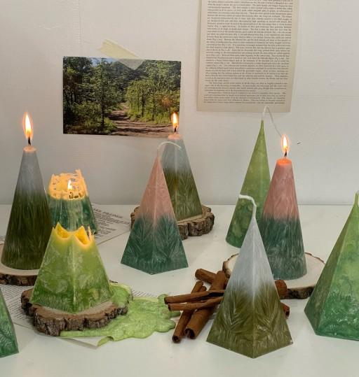 블프할인🖤하우올리 포레스트 캔들 우드트레이 세트 🎄