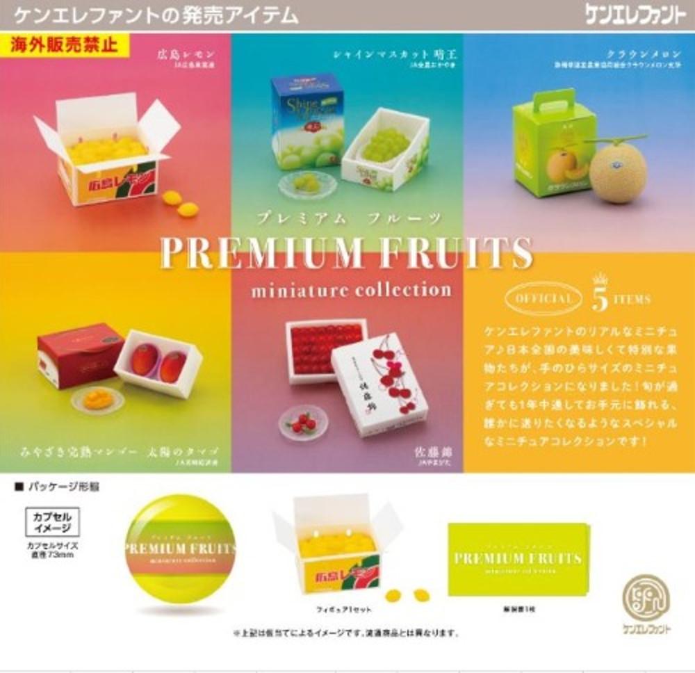 프리미엄 과일 미니어쳐 가챠캡슐 5종세트