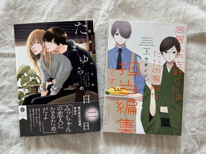 BL漫画 波真田かもめ / ウダノゾミ 2冊セット