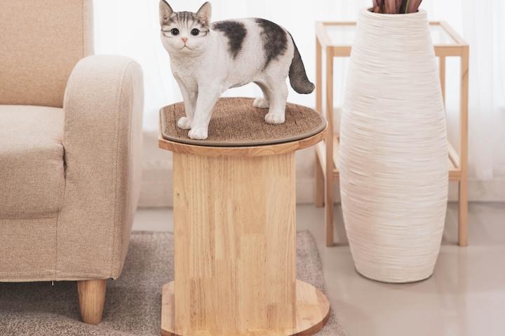 캣타워 소파 하임미니 하드우드 고무나무 colors