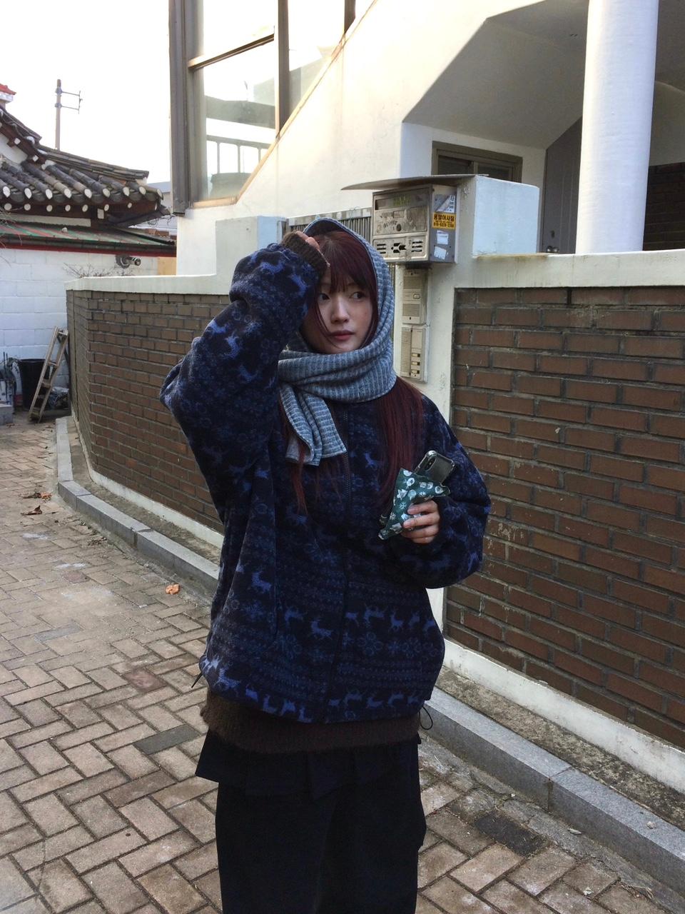 디어 노르딕 배색 후리스 집업 (2 color)