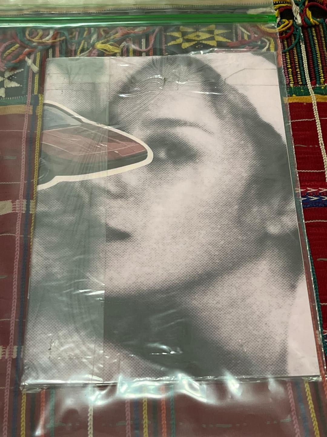 Chloe Sevigny zine 2015 | 후루츠패밀리