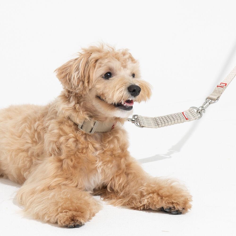 고아웃클럽 산책 안전벨트 라이트 (블루/블랙/베이지/올리브)