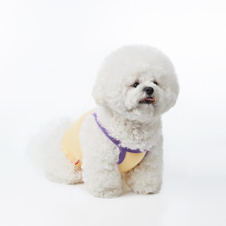 ORIGINAL VOLUME LOGO STAP CROP TOP-YELLOW(크롭탑)