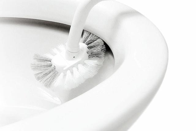 귀*유튜버 추천! 극소량 재입고! FX 커브 변기솔 & 변기솔+케이스 세트