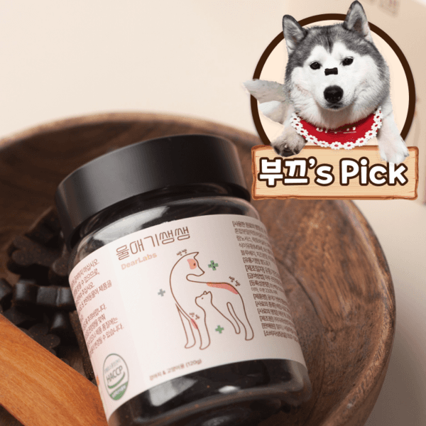 울애기쌩쌩(눈물/관절/피부/면역/장 케어)