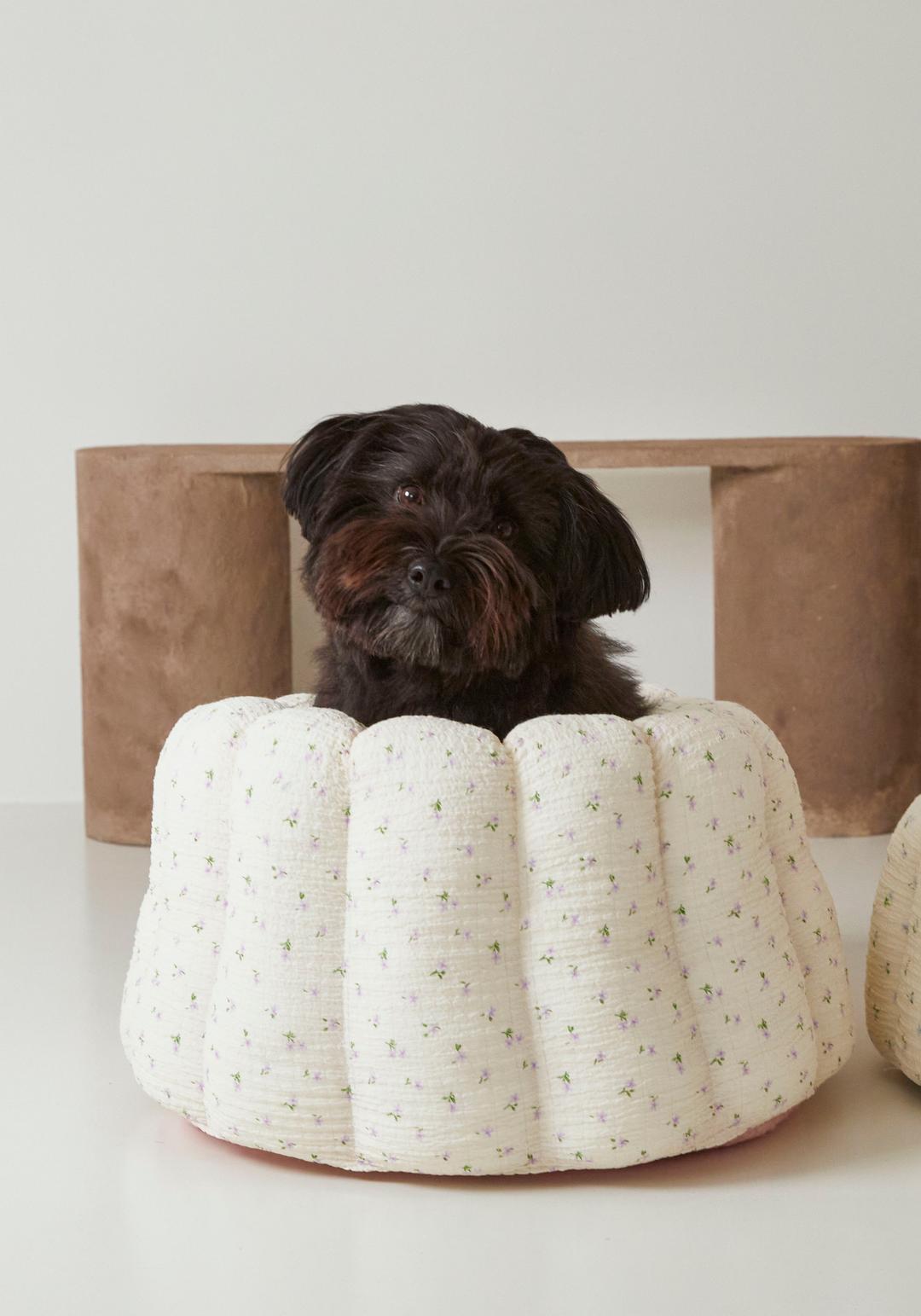 [azalea] mellow canele / violet