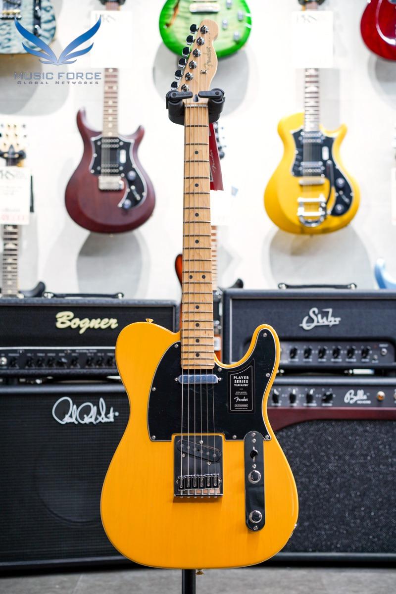 Fender Mexico Player Series Limited Edition Telecaster-Butterscotch Blonde w/Roasted Maple Neck & FB (신품) 펜더 멕시코 플레이어 텔레캐스터 - MX22147895