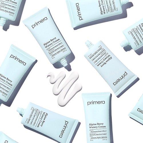 알파인 베리 워터리 크림 75ml + [사은품 증정]