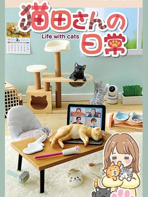 (리멘트식완) 네코다씨의 일상 고양이들과의 생활 (8종1박스)