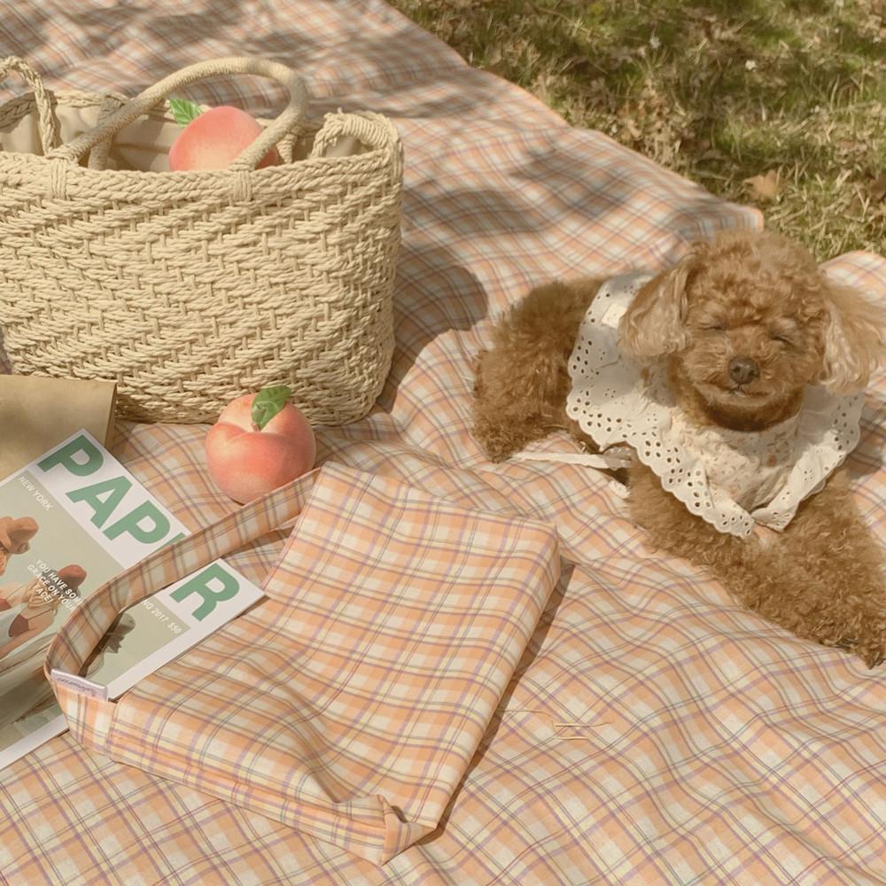 루브릭 나들이 체크 큰 2인용 4인용 돗자리 방수 천 파우치 가벼운 예쁜 피크닉 매트