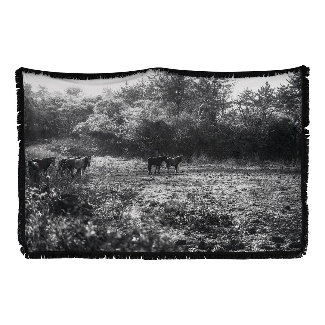 mono horse blanket
