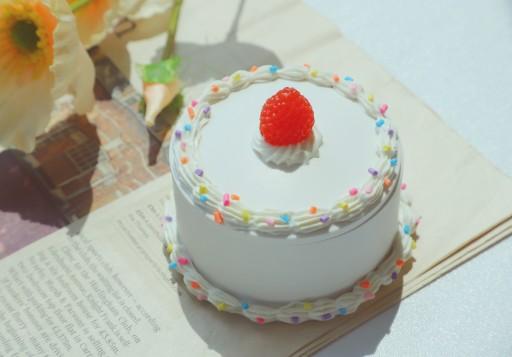 🎂딸기 생크림 케이크 보관함🎂