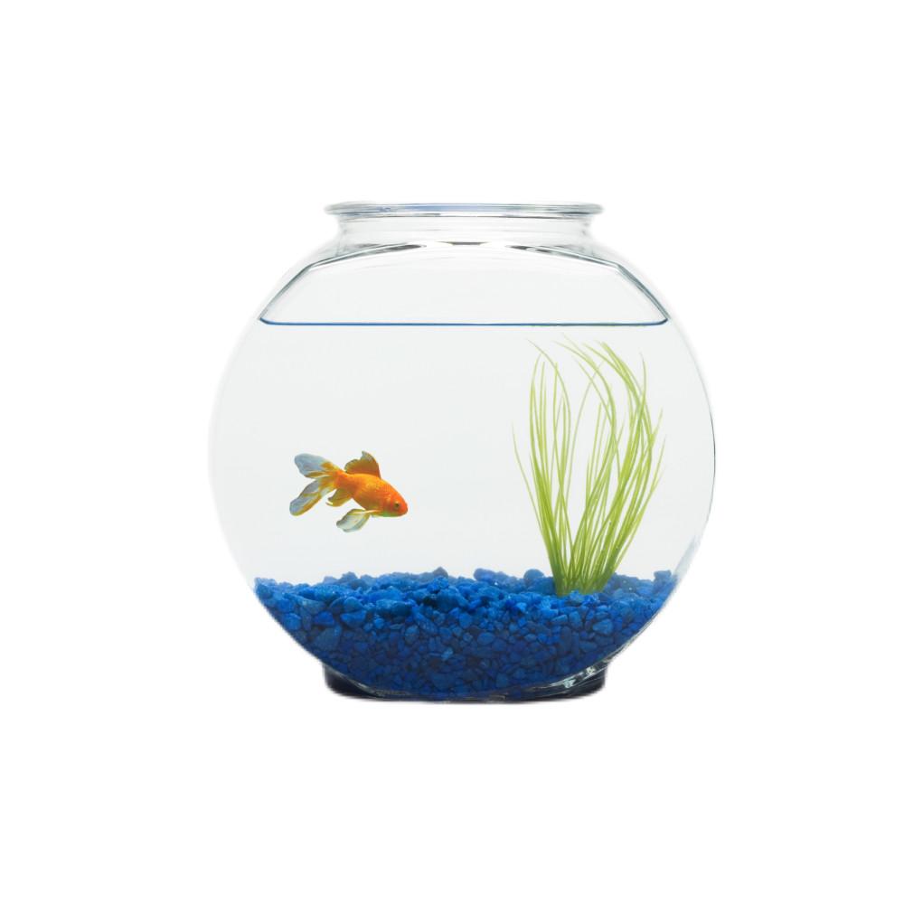 Fishbowl Griptok, 어항 스마트톡 금붕어톡 휴대폰거치대