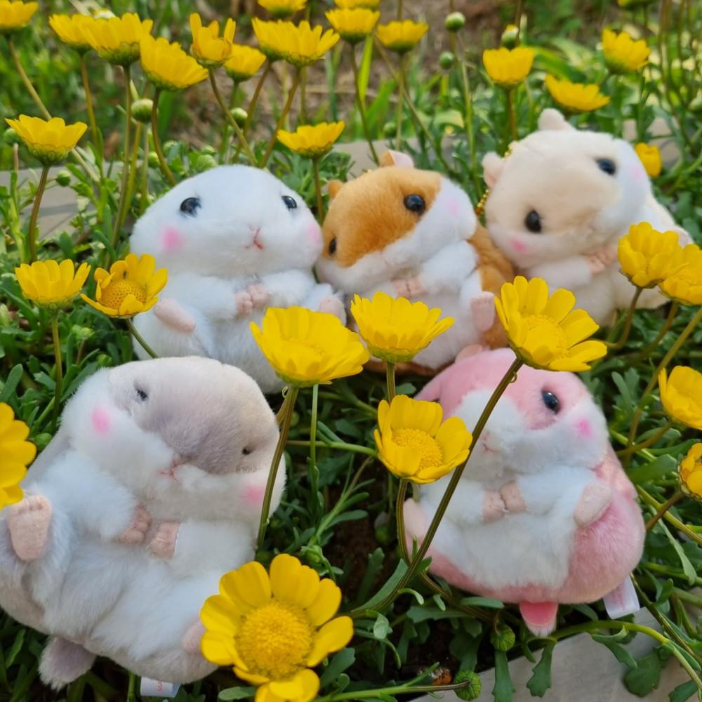 어뮤즈 코로하무코론 햄스터 인형 키링