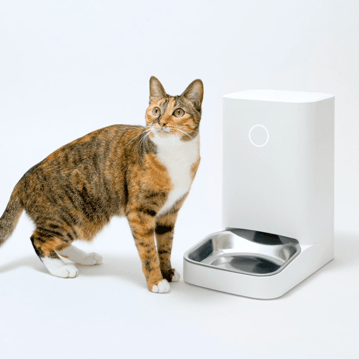 [무료배송] 바램펫 스마트 자동 급식기 밀리