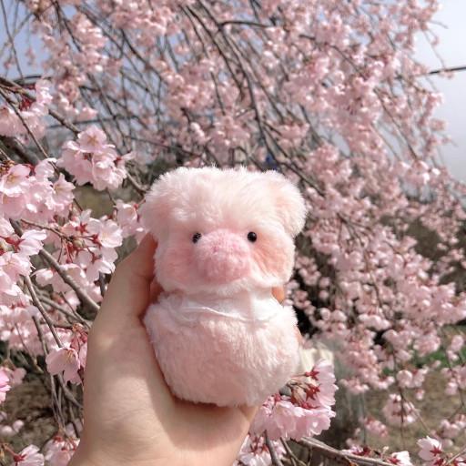 [몽몽샵] 봄, 돼몽!🐽🌸 행운의 돼지 키링