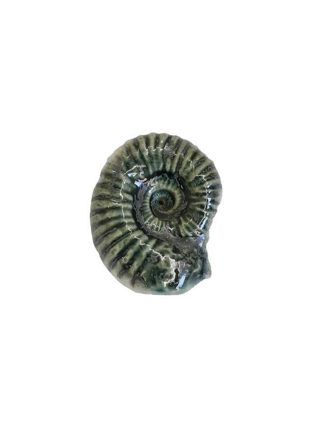 Ammonite Incense holder (deep green)