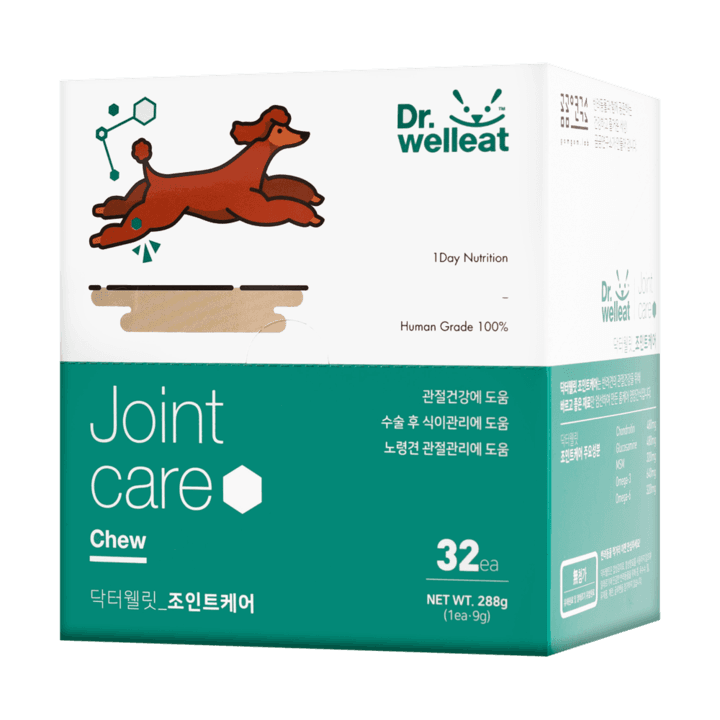닥터웰릿 조인트케어 츄 32개입