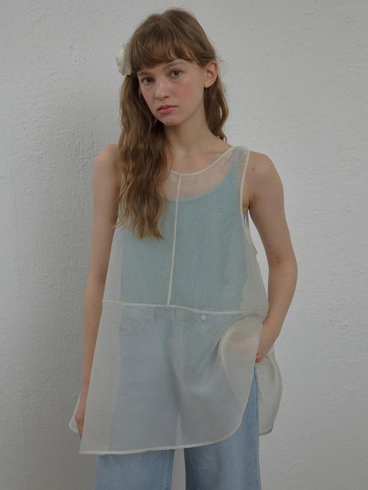 SEE-THROUGH SILKY DRESS