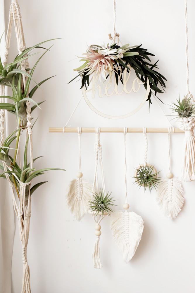 이오난사 틸란드시아 나뭇잎마크라메 갈란드 키우기 행잉식물